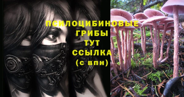 mix Абинск