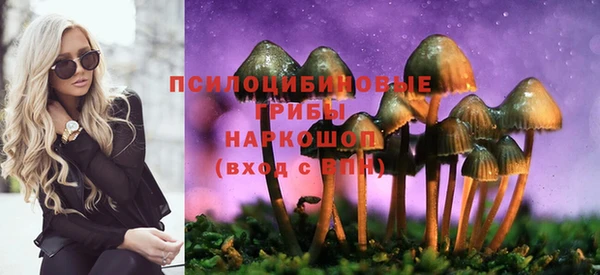 амф Алексин