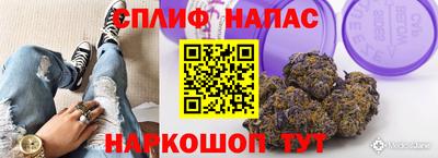 стаф Малгобек