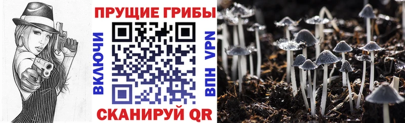 Псилоцибиновые грибы прущие грибы  Братск 
