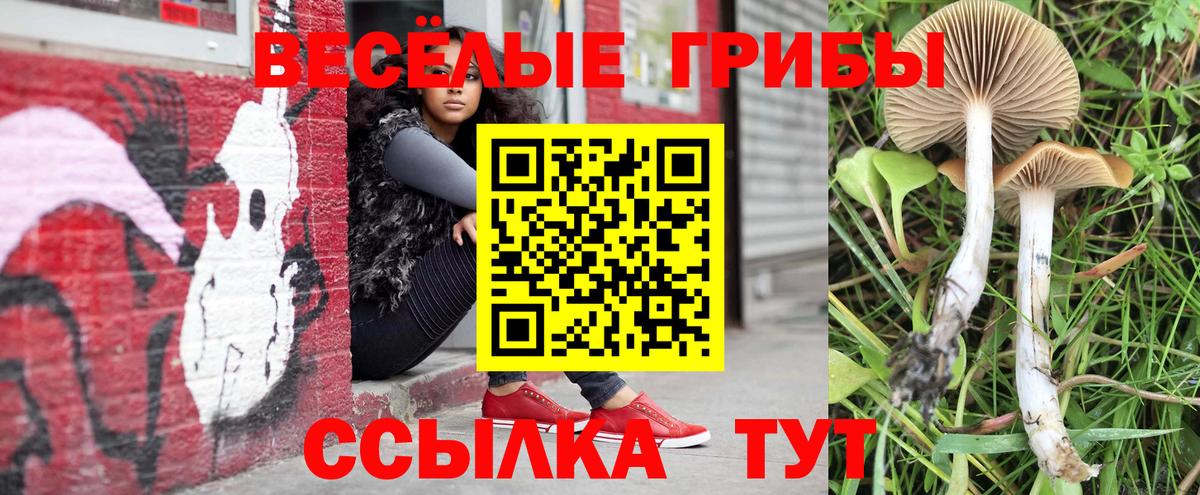 Братск  Галлюциногенные грибы прущие грибы  Псилоцибиновые грибы Psilocybe  Вход с VPN 